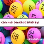 nuoi-dan-de-30-so-bat-bai